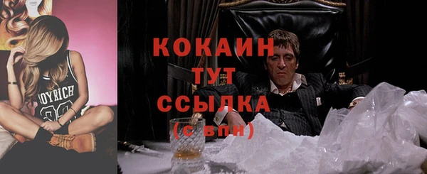 мдпв Вязьма