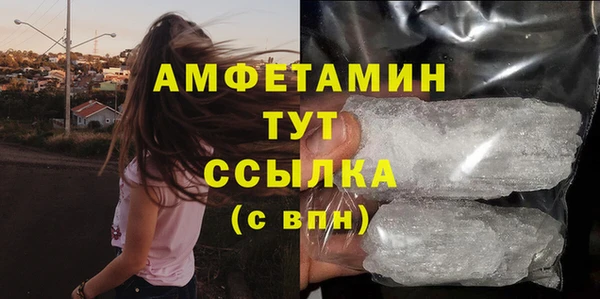 мдпв Вязьма