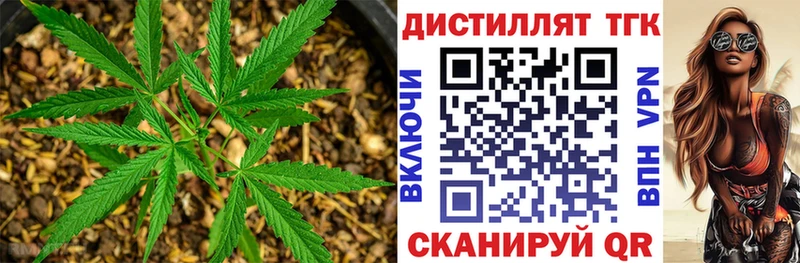 Дистиллят ТГК вейп с тгк  Стародуб 