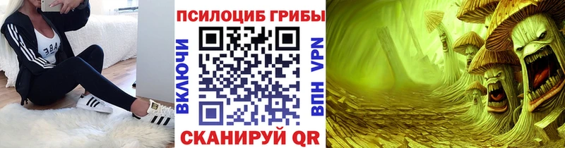 купить наркоту  Стародуб  Псилоцибиновые грибы Psilocybine cubensis 